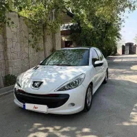 ۲۰۷ پانا ۱۴۰۲/بی رنگ شاسی پلمپ