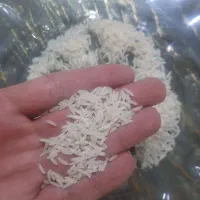 برنج محلی مینودشت|خوردنی و آشامیدنی|مشهد, مشکینی (شهرک غرب)|دیوار