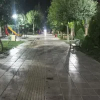 راننده پایه یک
