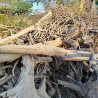 فروش کنده در سیریز زرند|فعالیت داوطلبانه|زرند, |دیوار