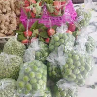 نیروی ماهر جهت کاردر میوه فروشی‌فقط‌وفقط‌فقط‌ماهر