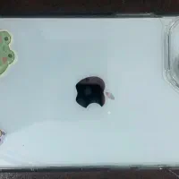 آیفون ۱۳ نرمال
