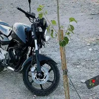 موتور پالس 180