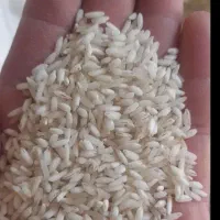 برنج قلوه هاشمی ۱۱۰۰ کیلو