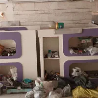 دکور ام دی اف رایگان|کتابخانه، شلف، قفسه‌های دیواری|اصفهان, دستگرده|دیوار