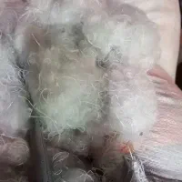 پشم|لوازم جانبی حیوانات|قم, ولیعصر|دیوار