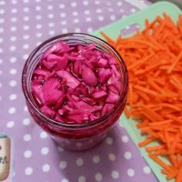 ترشی کلم بنفش خوش رنگ و خوشمزه