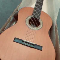 گیتار پارسی مدل پی هشتاد بهترین گیتار ایرانی کیف|گیتار، بیس، امپلیفایر|مشهد, توس (بلوار توس)|دیوار