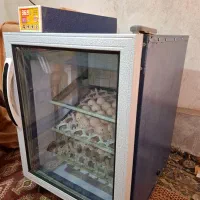 دستگاه جوجه کشی بلدرچین دماوند