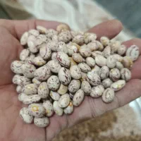 لوبیا چیتی درجه یک|خوردنی و آشامیدنی|قره چای, |دیوار