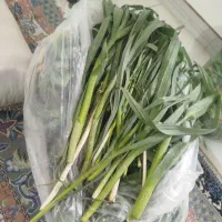 سیرموک تازه تازه کوهی درجه یک. ۱۰۰تومن