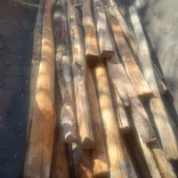خرید‌درخت‌خریدار‌چوب‌برش‌انواع‌درختان‌مانع‌هرس‌|خدمات باغبانی و درختکاری|تبریز, |دیوار