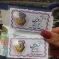 سکه پارسیان ۱۰۰سوت