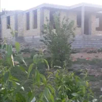 فروش-باغ