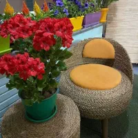 تولید میز و صندلی|مبلمان خانگی و میز عسلی|شهریار, شهرک امیریه|دیوار