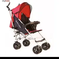 کالسکه عصایی