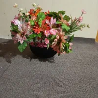 گل زیبا رنگارنگ|گل مصنوعی|لنگرود, |دیوار