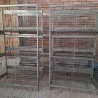 قفس مرغ تخمگذار