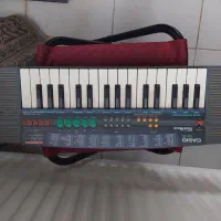 کیبوردارگ Casio اصل تایوان