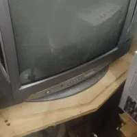 تلویزیون