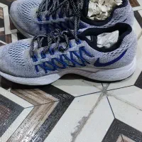 کفش استوک|کیف، کفش، کمربند|یاسوج, |دیوار