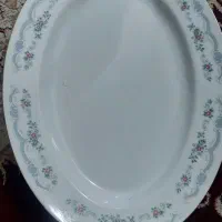 یک عدد دیس