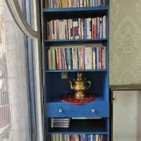 کتابخانه یا قفسه سفارشی ساز جادار در حدنو