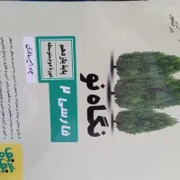کتاب نگاه نو