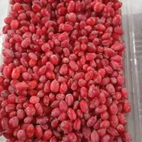 زرشک تازه نوبرانه بیرجند با عناب قیمت مناسب|حراج|زابل, |دیوار