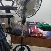 پنکه سالم سونیا