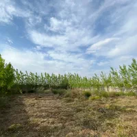 ۱۰۰۰مترمربع زمین دور دیوار کامل در شهر رشت