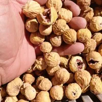 انجیر تازه نرم و خوش طعم بدون نگهدارنده
