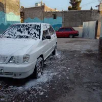 کارواش امروز قیمت پاین میباشد تماس بگیرید