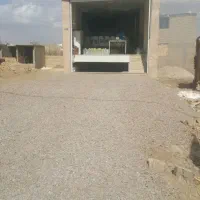 نیروخانم یا باز نشسته مغازه