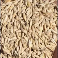 جو آبی بهمن تناژ بالا