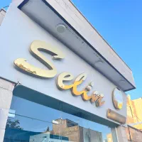 تابلو حروف برجسته سلین