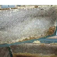 عسل صددرصد طبیعی