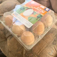 بهترین تخم مرغ نطفه دار|حیوانات مزرعه|ماهدشت, |دیوار