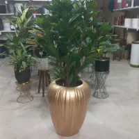 گلدان فایبرگلاس|گل و گیاه طبیعی|گرگان, |دیوار