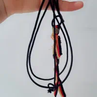 مرغ مینا|پرنده|یاسوج, |دیوار