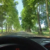 ۲۰۶ سالم تیپ دو فرانسه|خودرو سواری و وانت|فومن, |دیوار