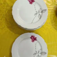 ظروف چینی|ظروف سرو و پذیرایی|بافق, |دیوار