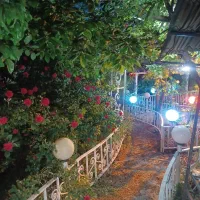 اجاره ویلا روزانه