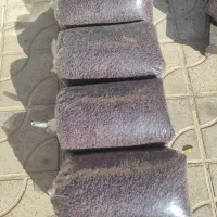 کشمش بش پاک شده