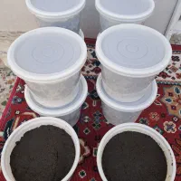 سبزی و پیاز سرخ شده