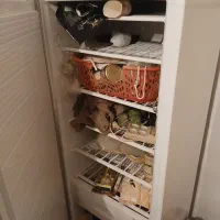 فریزر در حد نو|یخچال و فریزر|رفسنجان, |دیوار