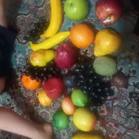 میوه مصنوعی|مجسمه، تندیس، ماکت|تهران, خلیج فارس|دیوار