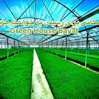 گلخانه تولید نشا شیراز