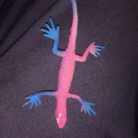 مارمولک|اسباببازی|کرج, حصارک بالا|دیوار