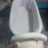 گهواره خرسی